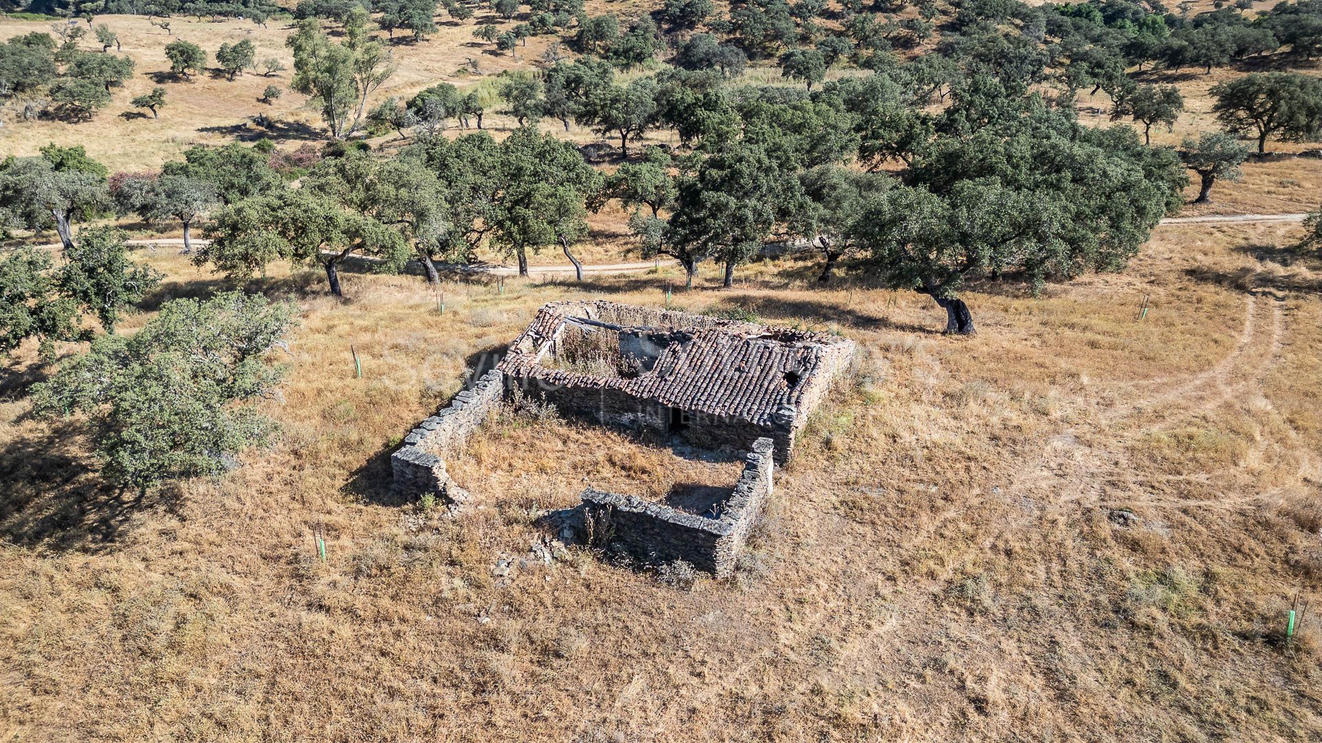 Livestock Dehesa of 208 Hectares in Aracena