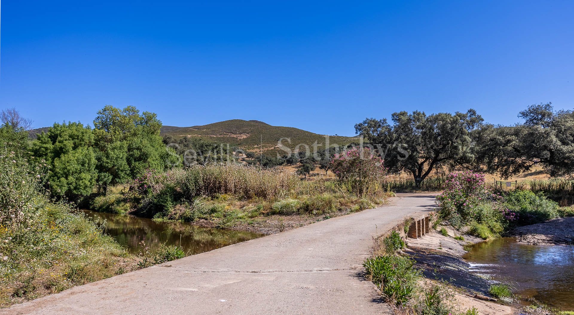 Livestock Dehesa of 208 Hectares in Aracena