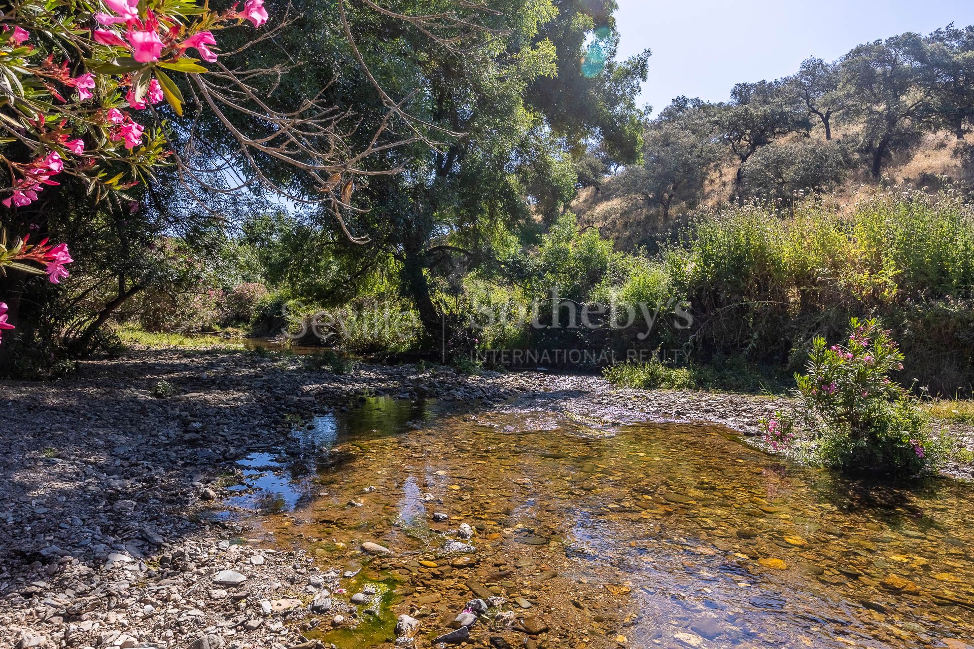 Livestock Dehesa of 208 Hectares in Aracena