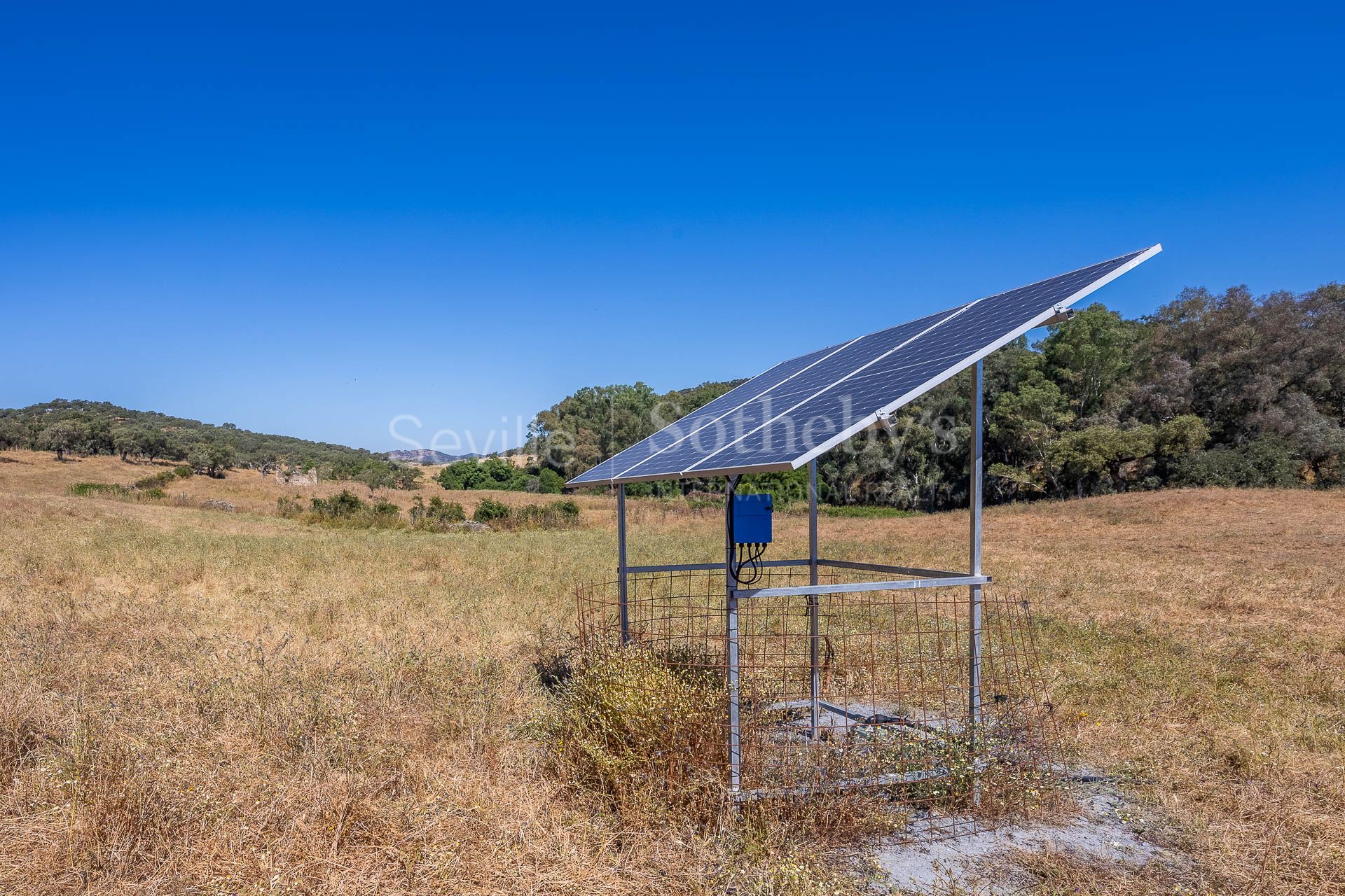 Livestock Dehesa of 208 Hectares in Aracena