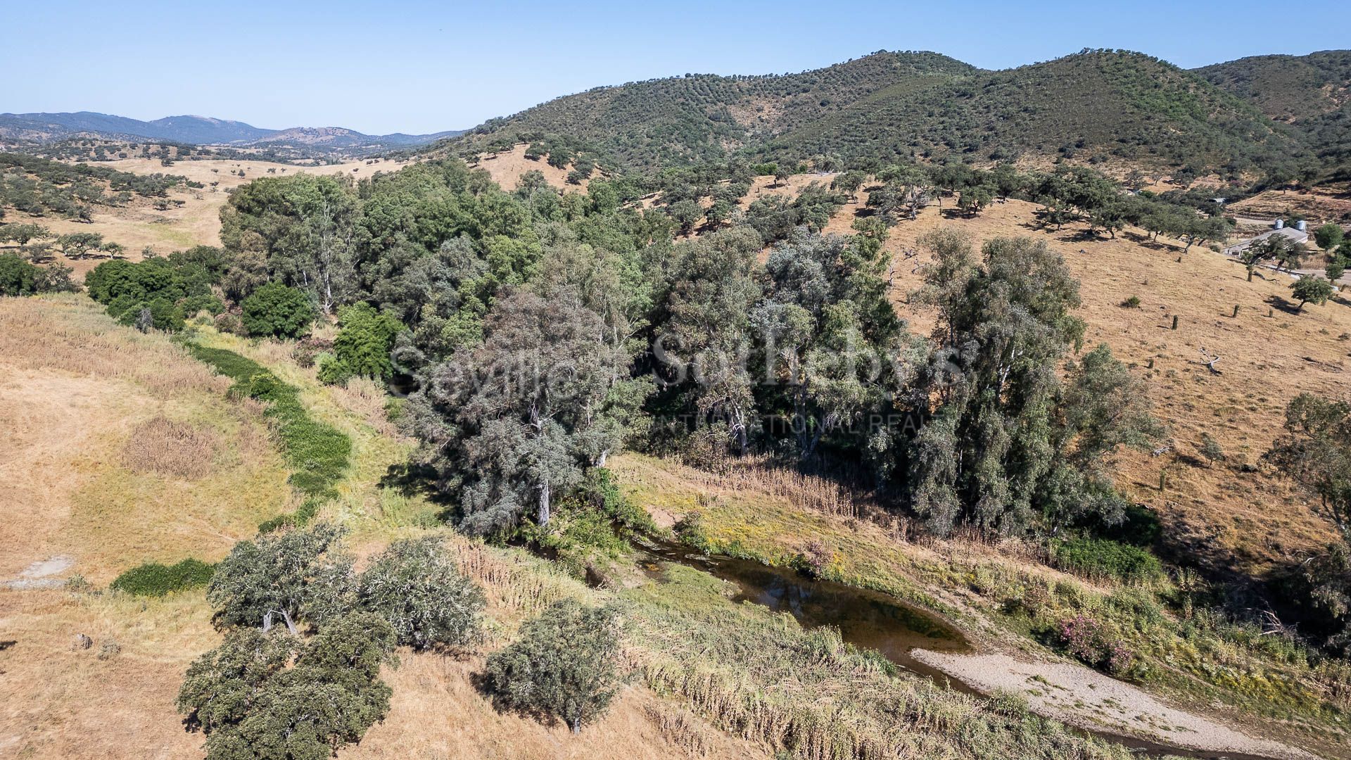 Livestock Dehesa of 208 Hectares in Aracena