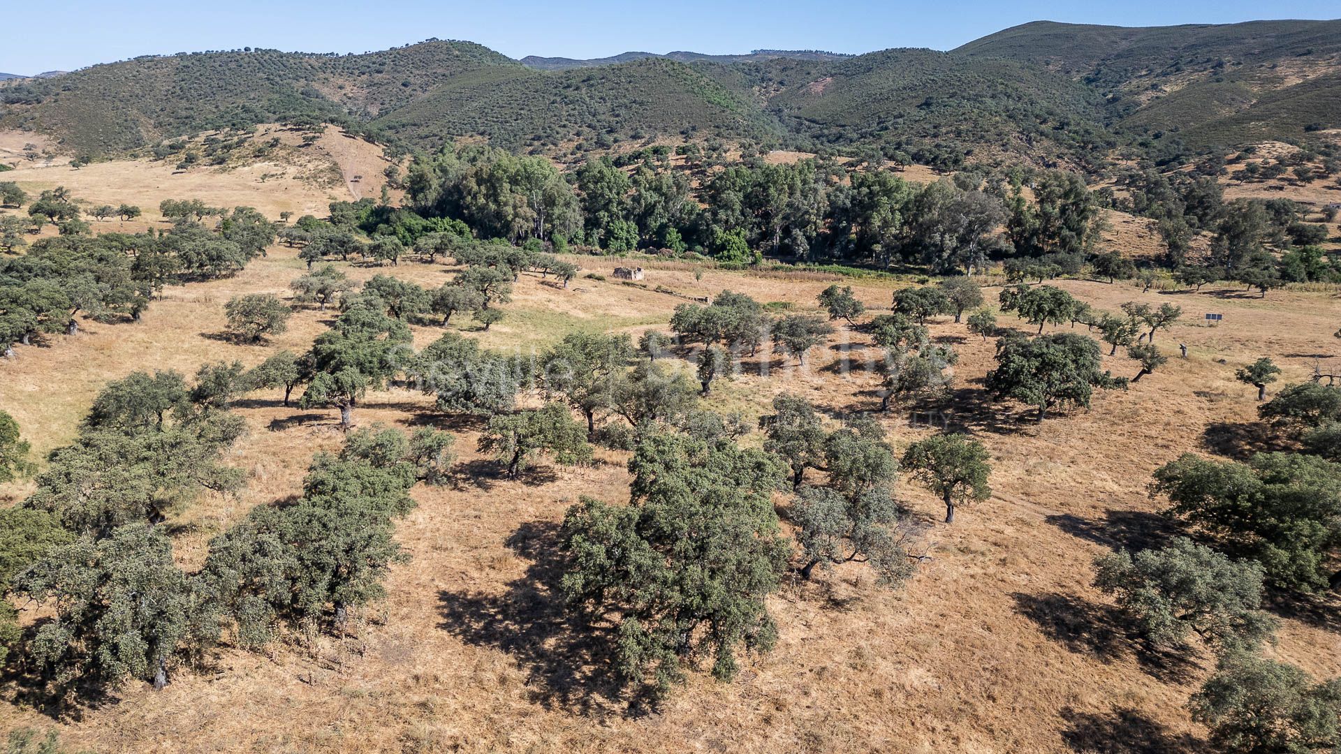 Livestock Dehesa of 208 Hectares in Aracena