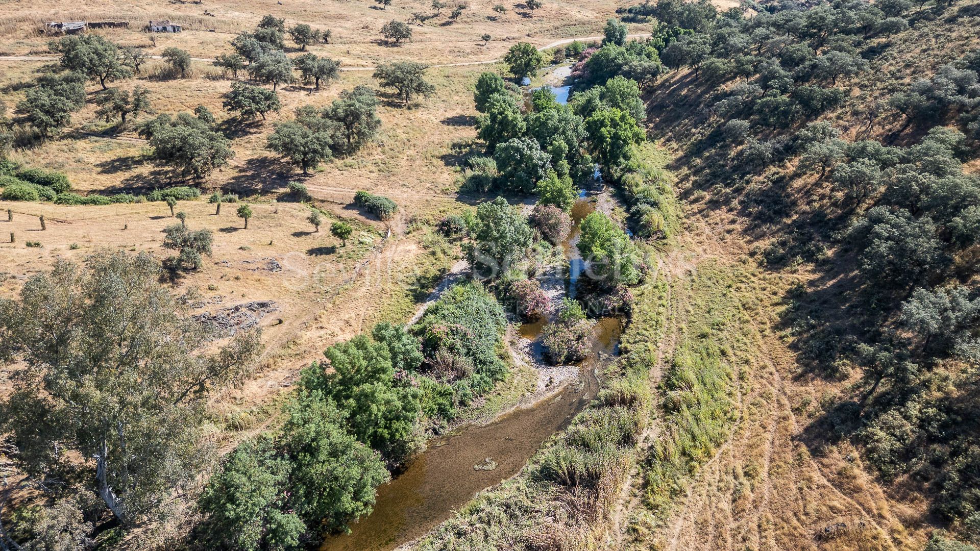 Livestock Dehesa of 208 Hectares in Aracena