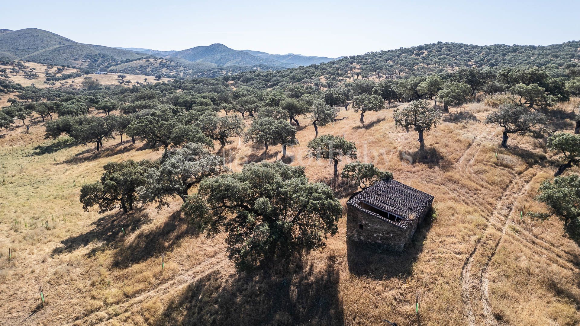 Livestock Dehesa of 208 Hectares in Aracena