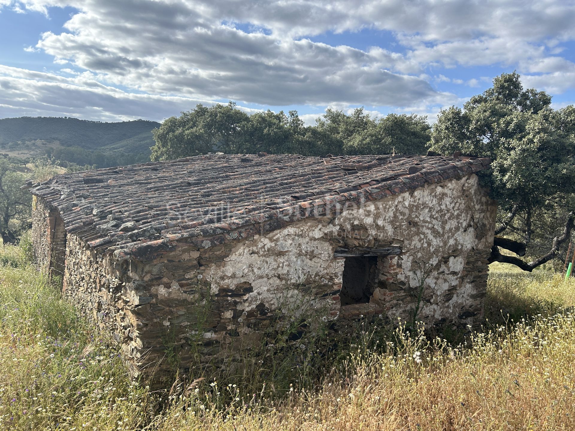 Livestock Dehesa of 208 Hectares in Aracena