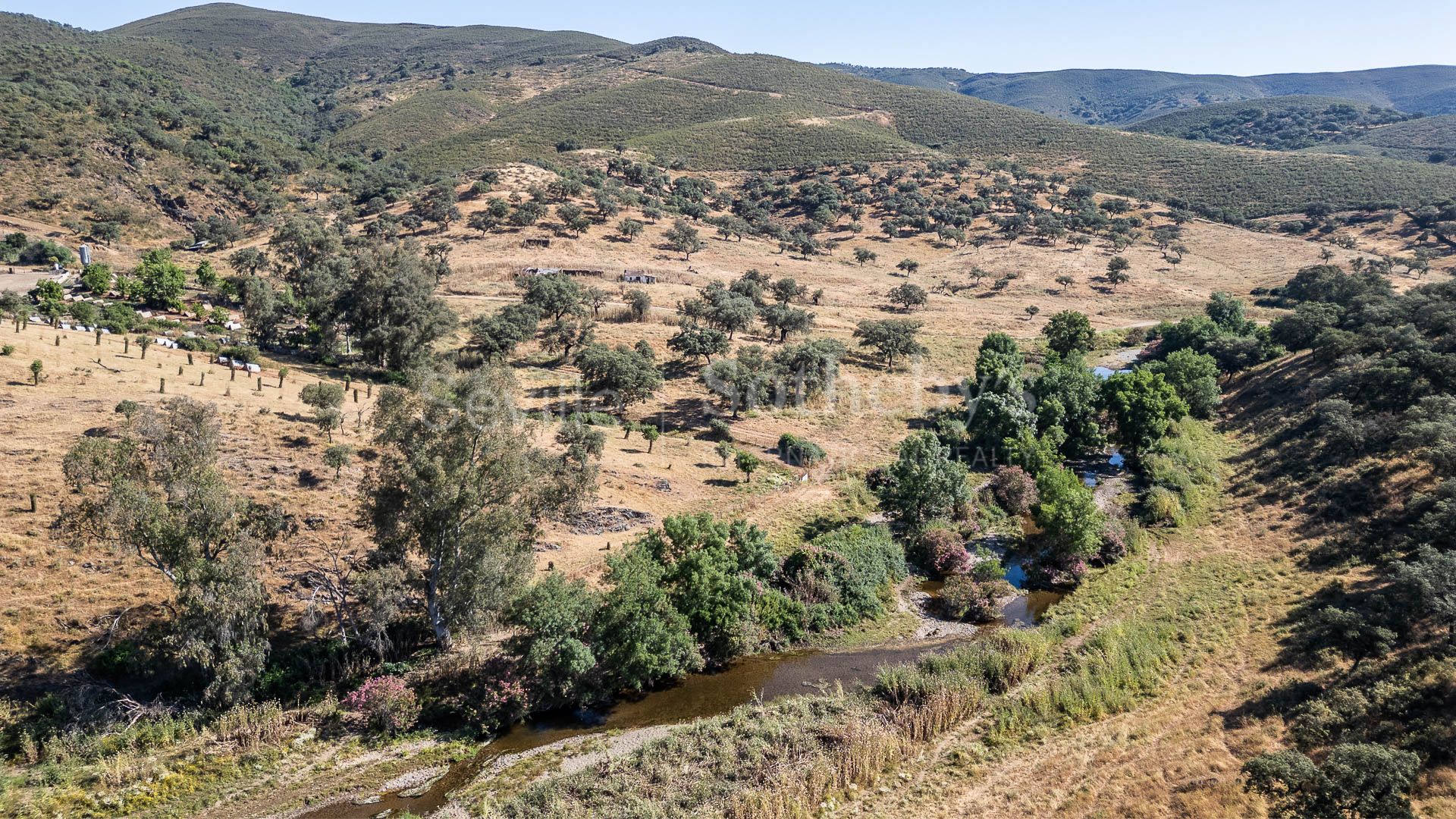 Dehesa Ganadera de 208 Hectáreas en Aracena