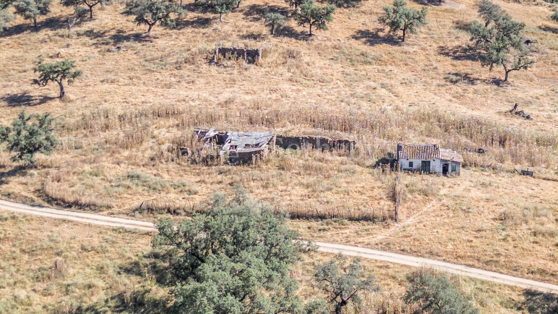 Livestock Dehesa of 208 Hectares in Aracena