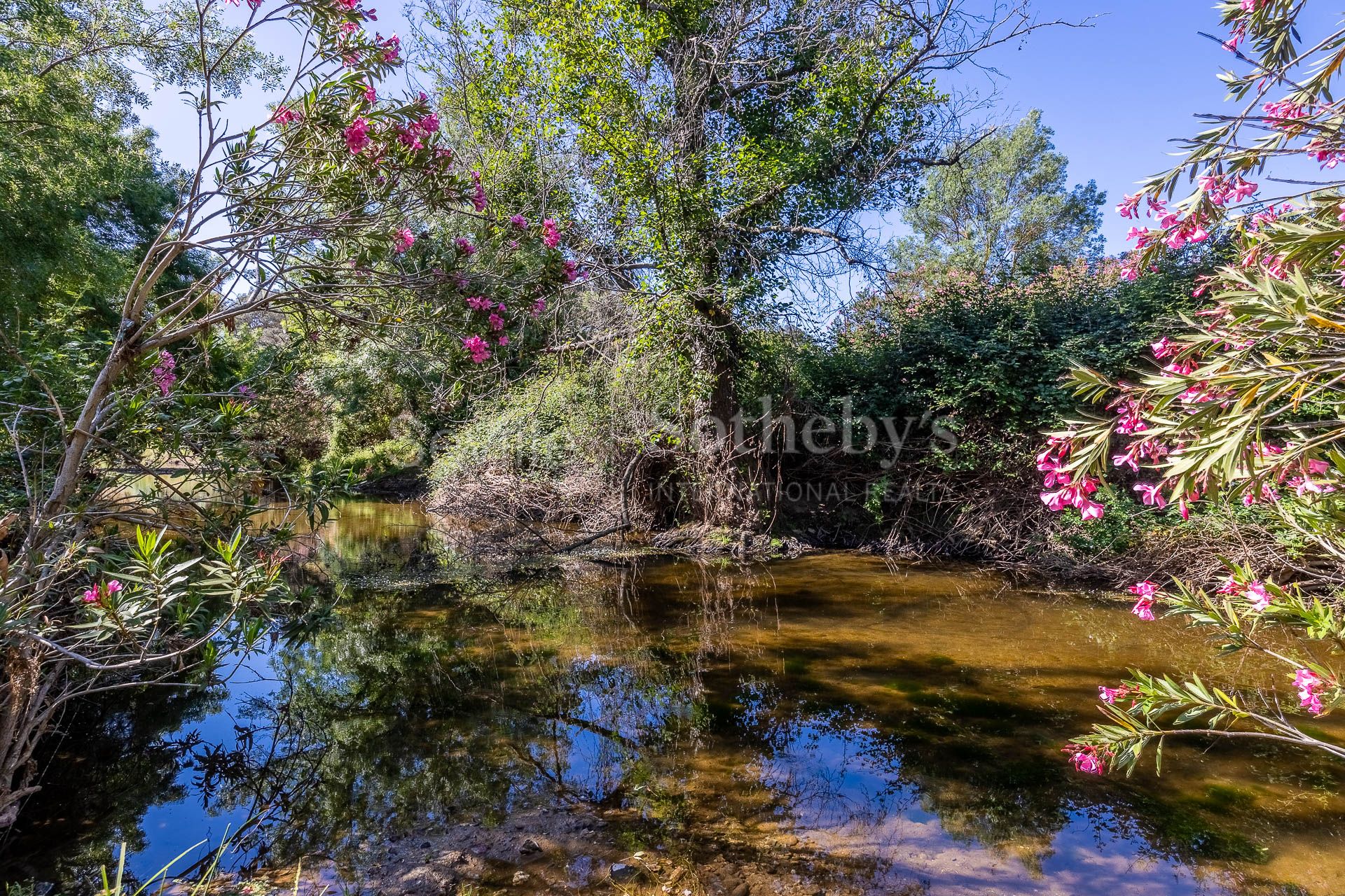 Livestock Dehesa of 208 Hectares in Aracena