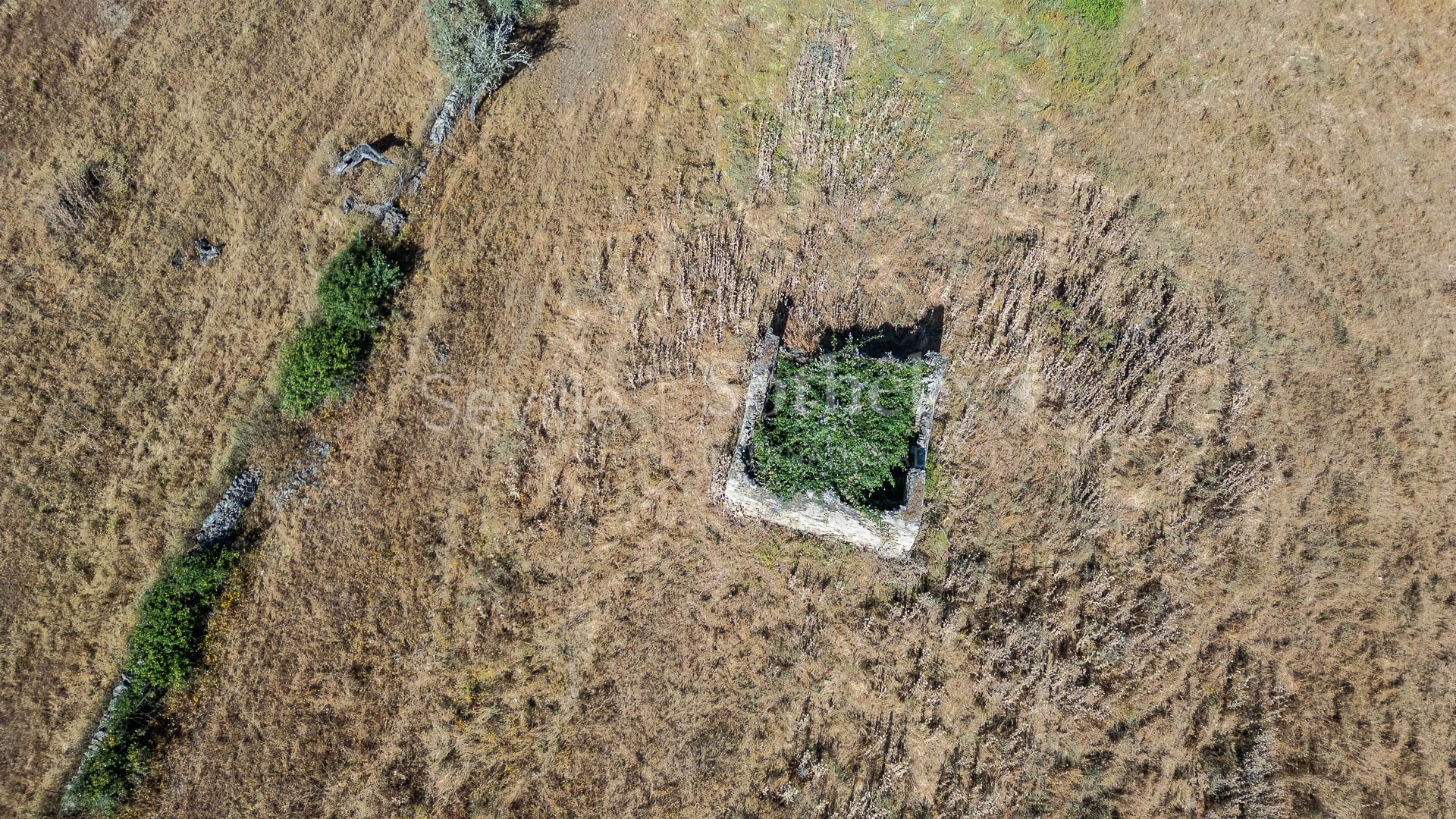 Livestock Dehesa of 208 Hectares in Aracena