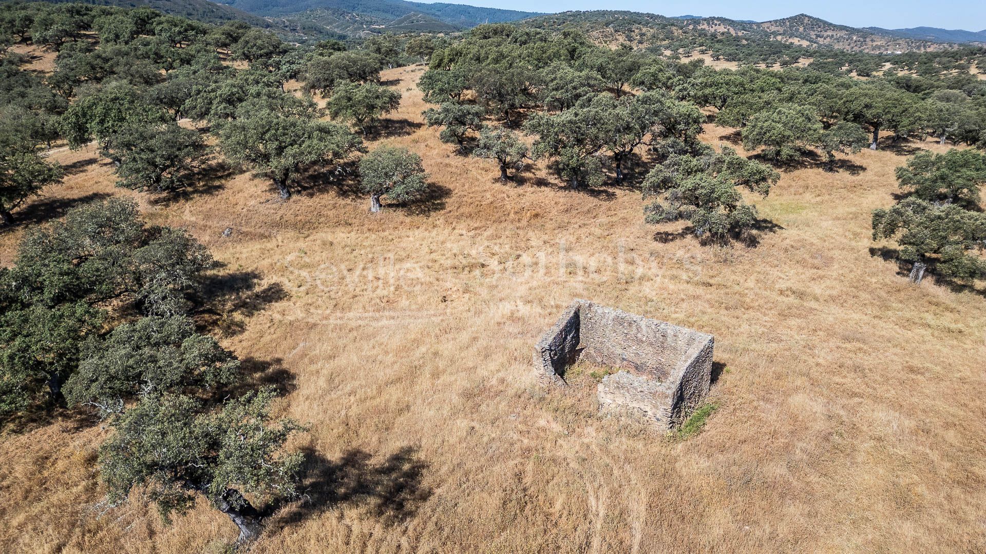 Dehesa Ganadera de 208 Hectáreas en Aracena