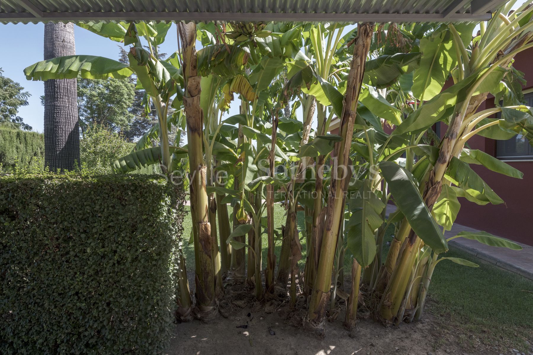 Chalet en urbanización privada en Bormujos