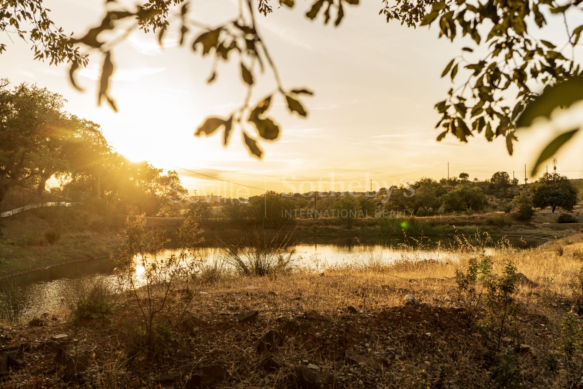 Exclusive Finca and Rural House in the heart of the Andévalo Region, Huelva.