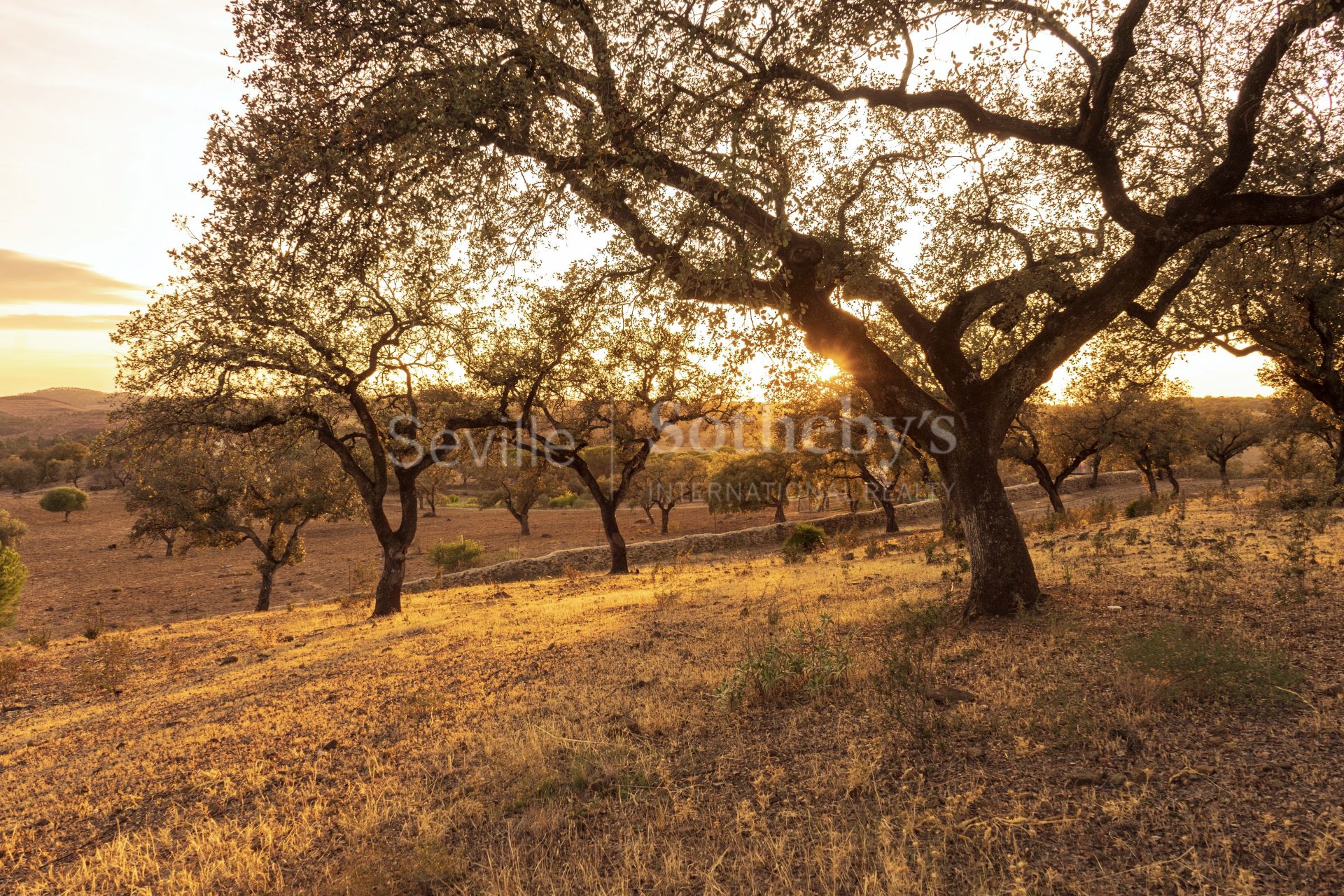 Exclusive Finca and Rural House in the heart of the Andévalo Region, Huelva.
