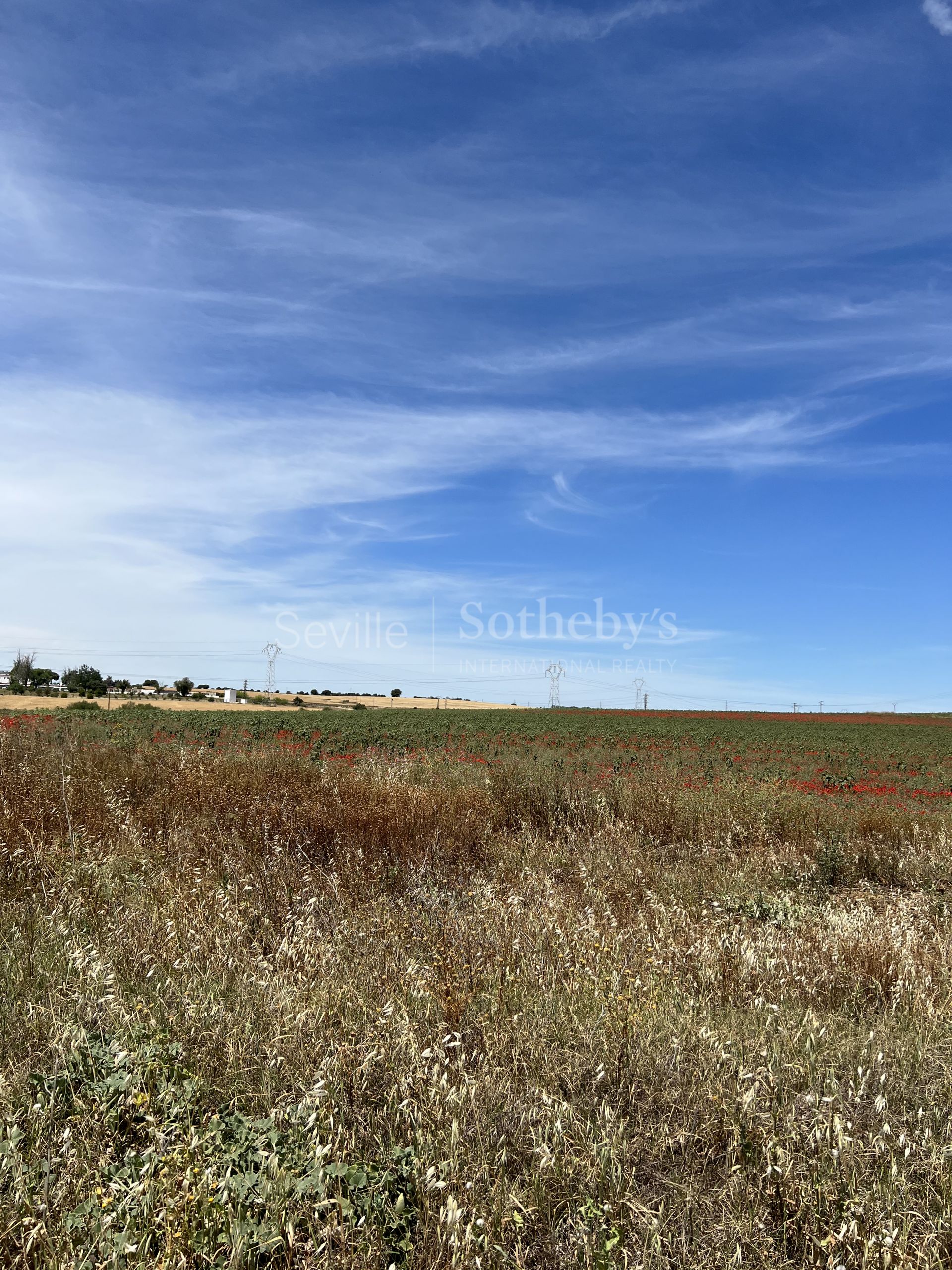 Land in an industrial site of La Menaja, Huelva