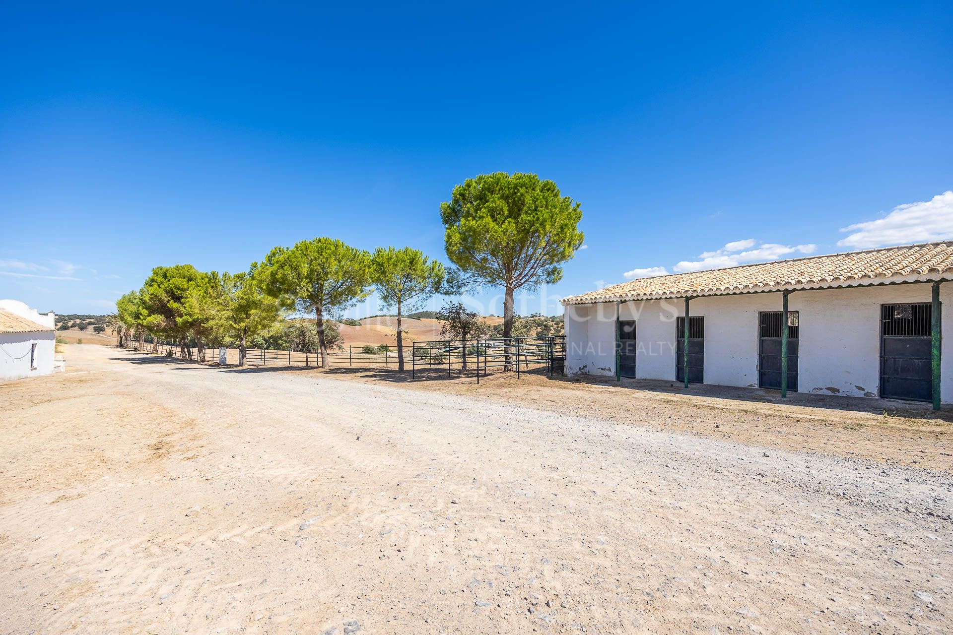 Livestock pasture with farmhouse and stud farm