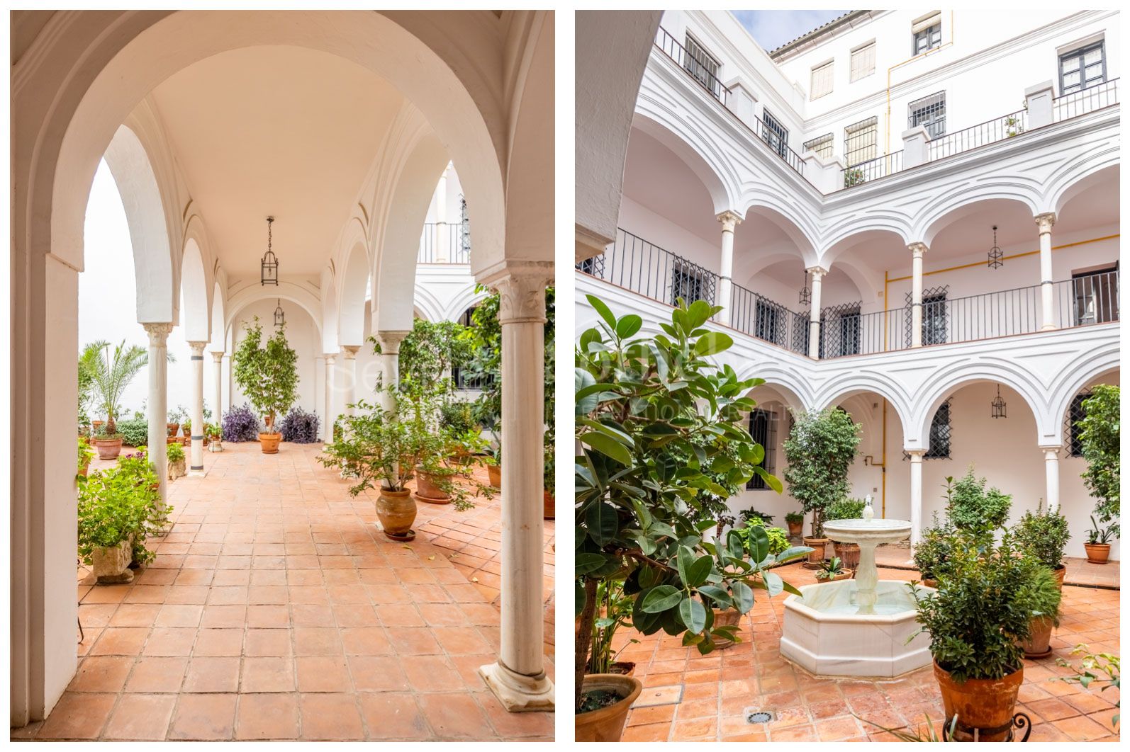 Elegant apartment in one of the most emblematic streets of Seville.