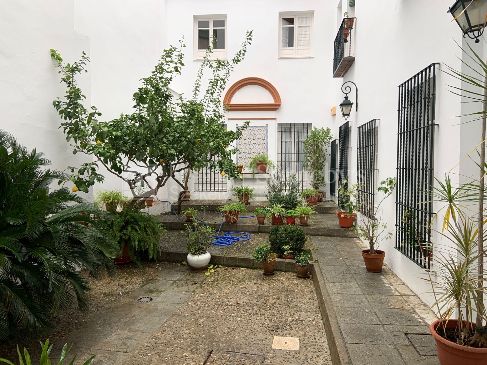 Pisos De Alquiler En Sevilla Baratos Particular : Alquiler de Habitación en calle luis montoto, 83 ...
