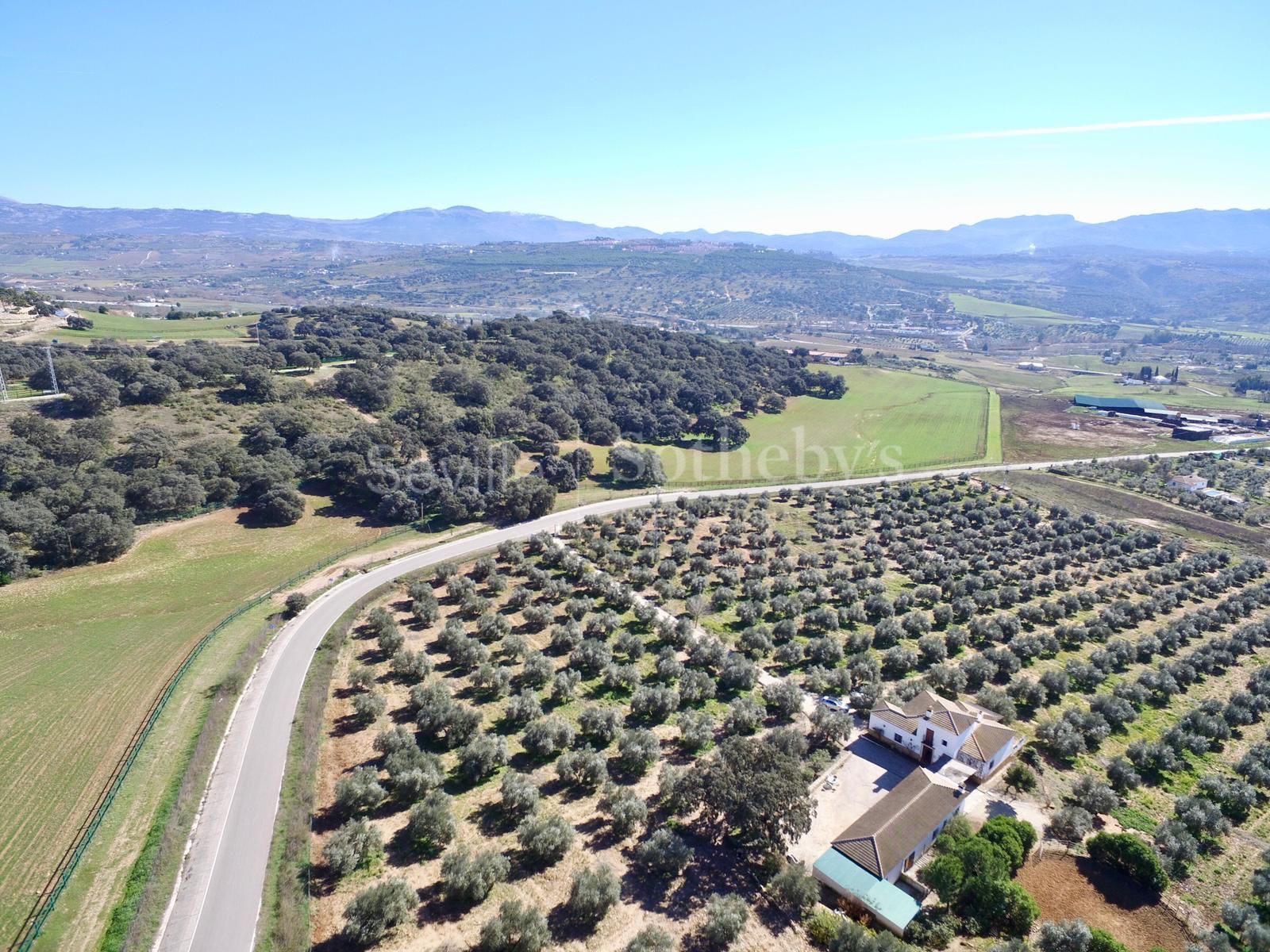 Precioso cortijo con finca de olivos en Ronda, Málaga