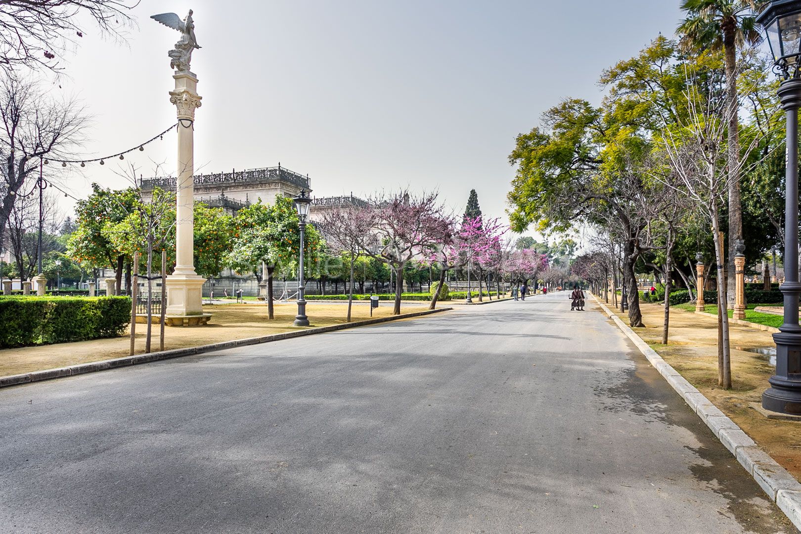 Gran casa con jardin orientada al sur en el Porvenir