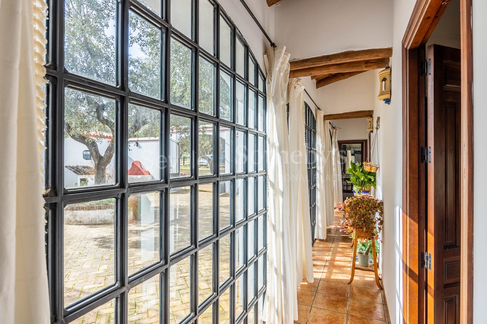 Finca con casa cortijo en Cazalla de la Sierra