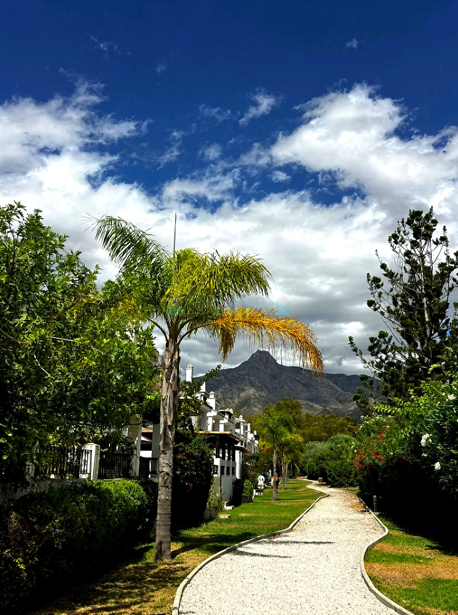 Semi Detached House for sale in Los Naranjos, Nueva Andalucia
