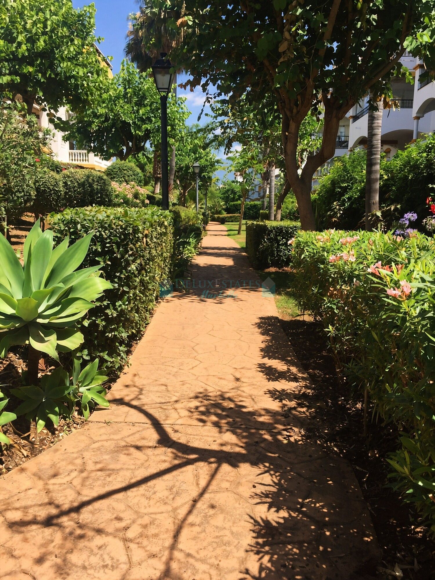 Penthouse for sale in La Dama de Noche, Nueva Andalucia