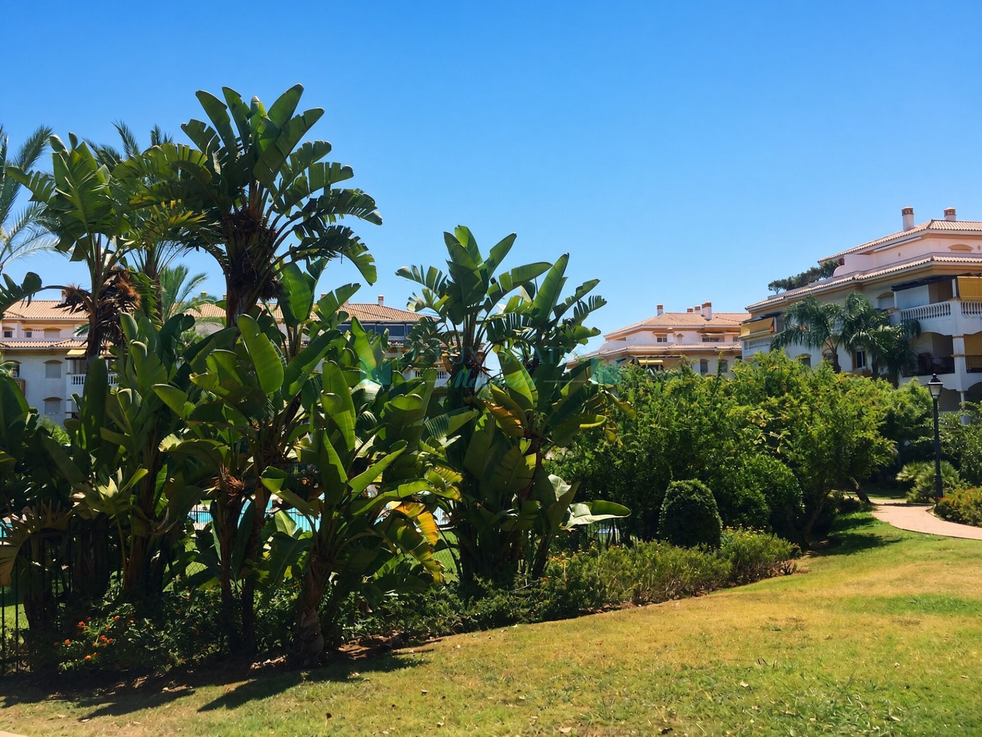 Penthouse for sale in La Dama de Noche, Nueva Andalucia