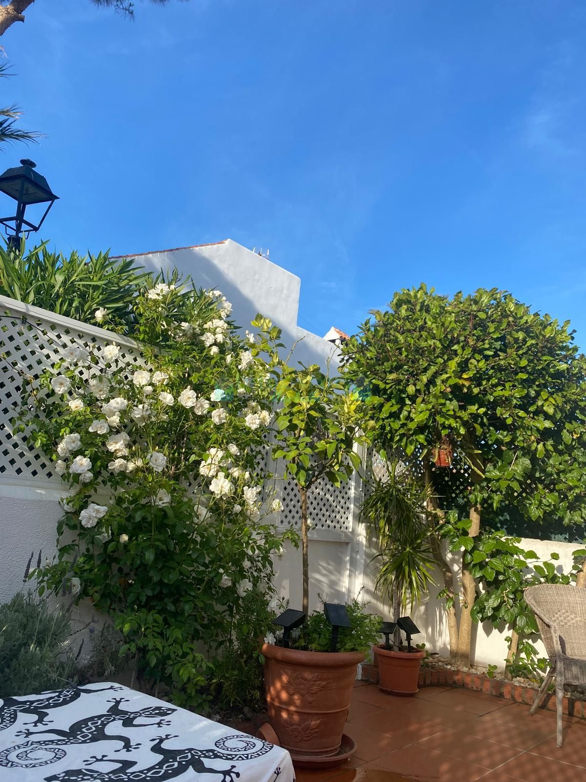 Semi Detached House for sale in Casares Playa, Casares