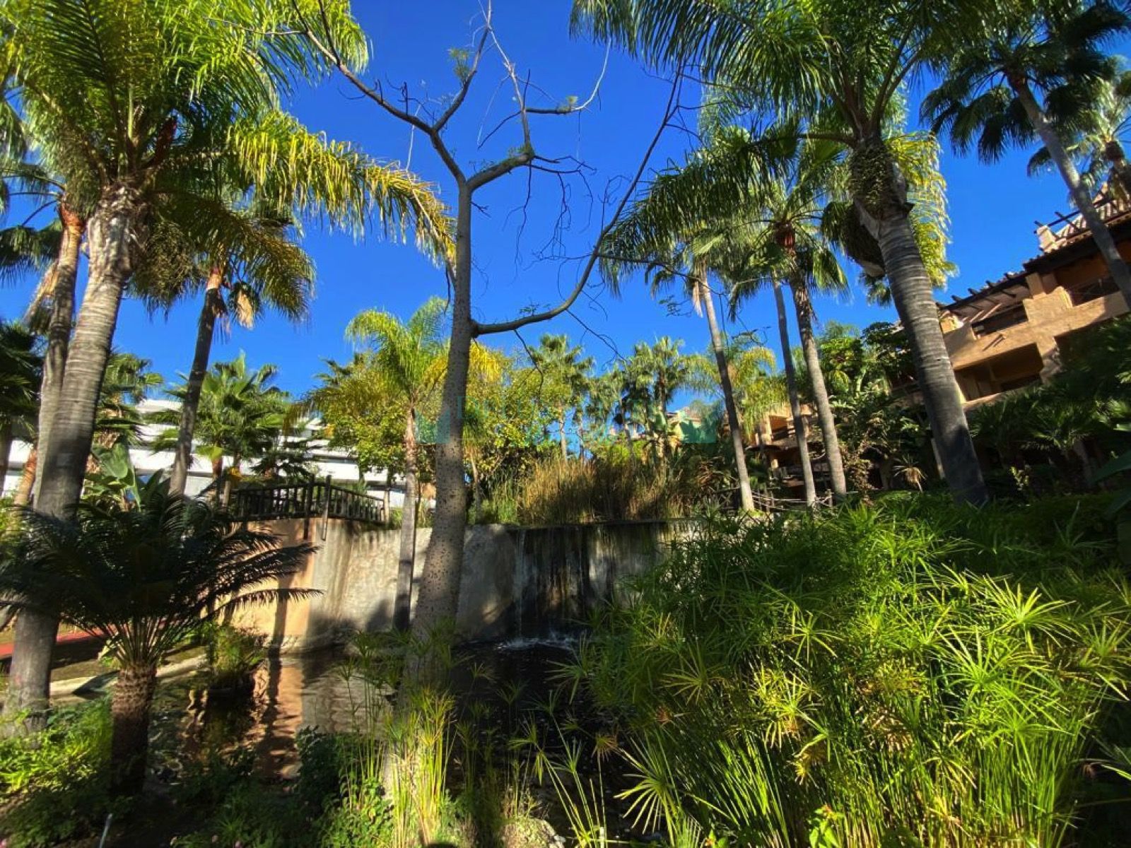 Ground Floor Apartment for sale in El Campanario, Estepona