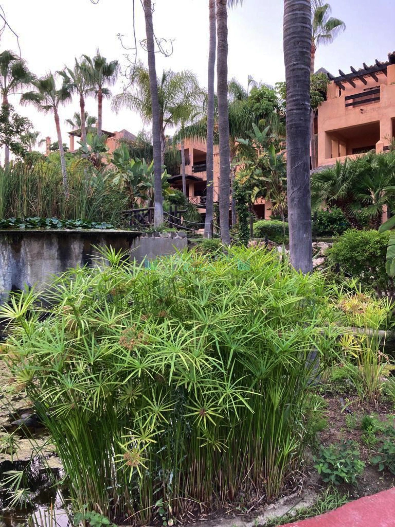 Ground Floor Apartment for sale in El Campanario, Estepona
