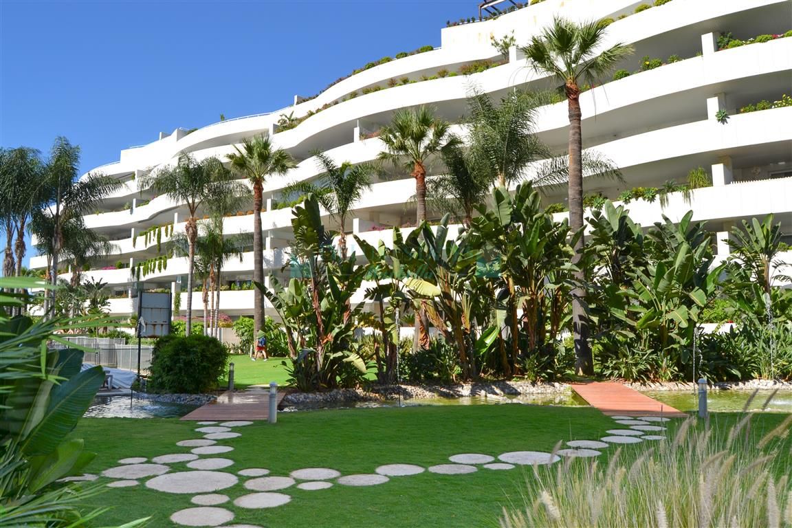 Apartamento Planta Baja en alquiler en El Embrujo Banús, Marbella - Puerto Banus