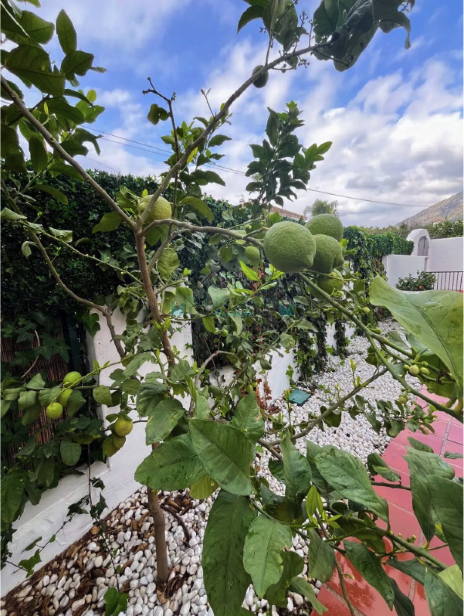 Casa en venta en Nagüeles, Marbella Golden Mile