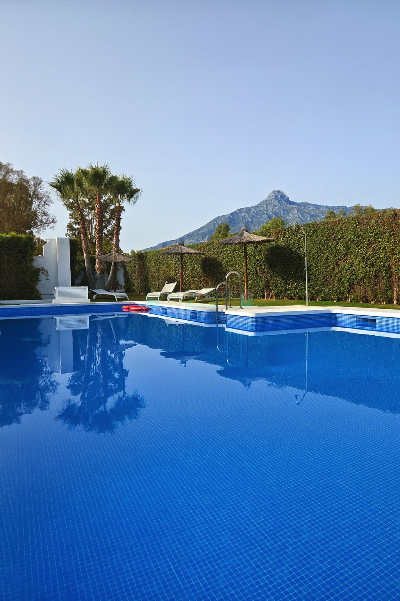 Ground Floor Apartment for sale in Los Naranjos, Nueva Andalucia