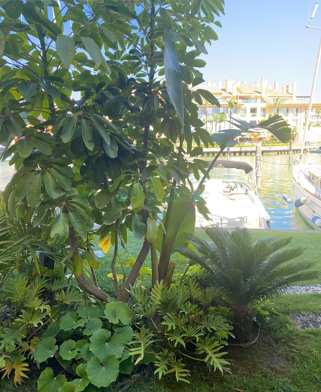 Ground Floor Duplex for sale in Marina de Sotogrande, Sotogrande