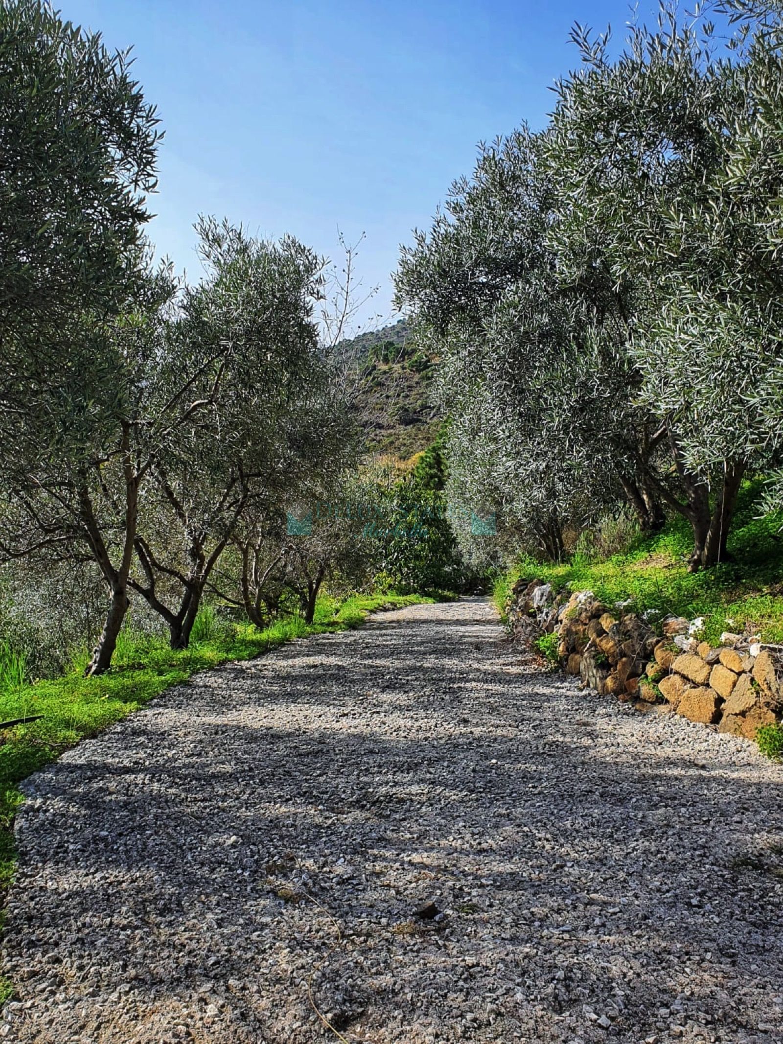 Finca for sale in Altos de Estepona, Estepona