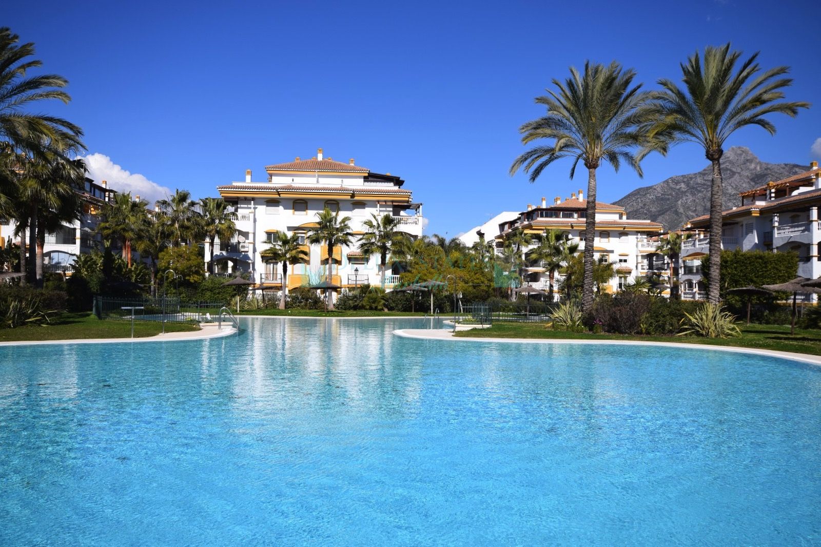 Apartamento en venta en La Dama de Noche, Nueva Andalucia