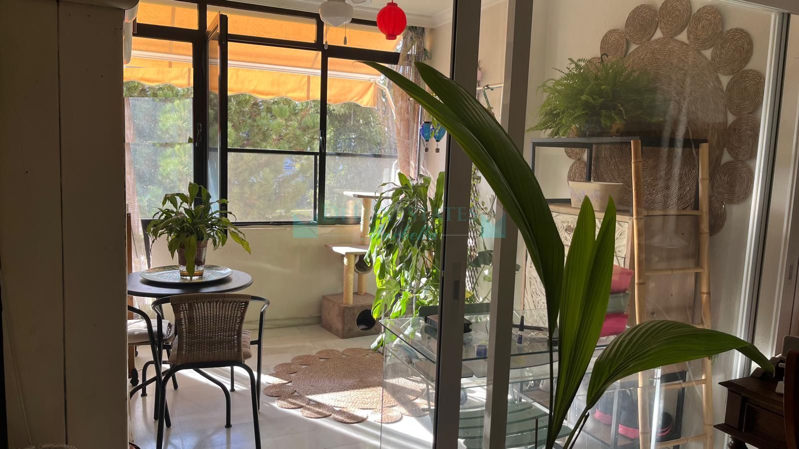 Apartment for sale in Nueva Andalucia