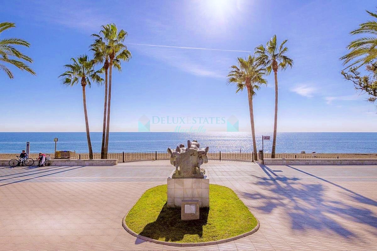 Restaurante en venta en San Pedro de Alcantara