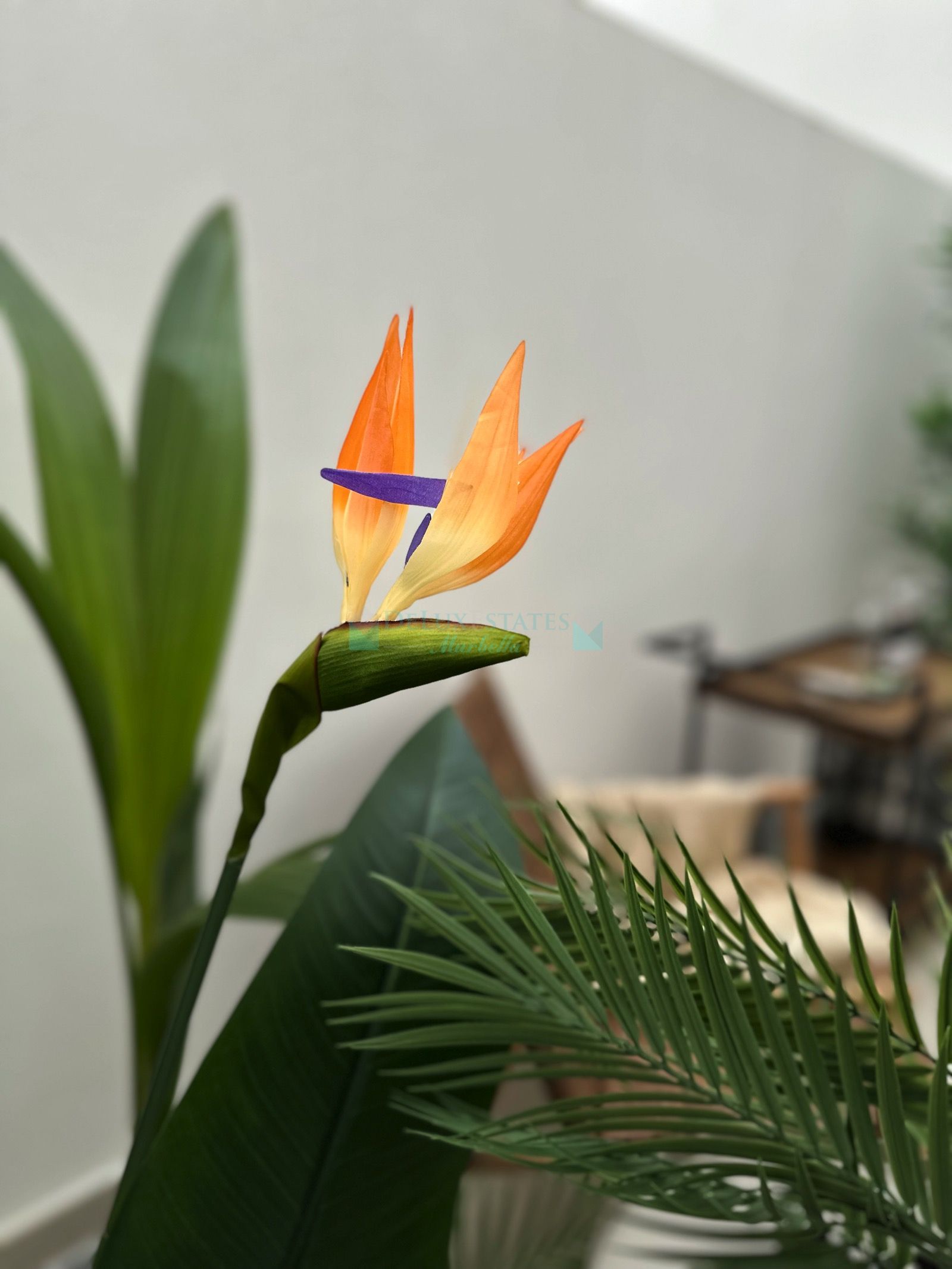 Ground Floor Apartment for sale in Estepona Puerto, Estepona