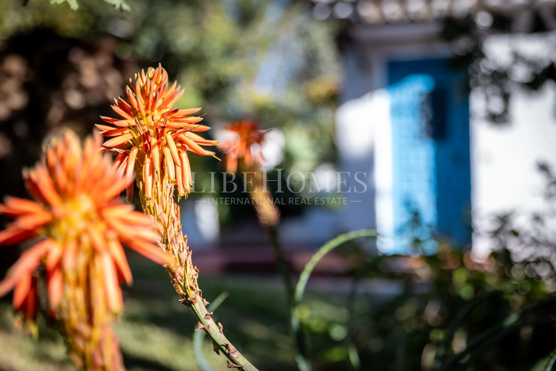 Beautiful Andalusian villa with a unique character in Marbella East