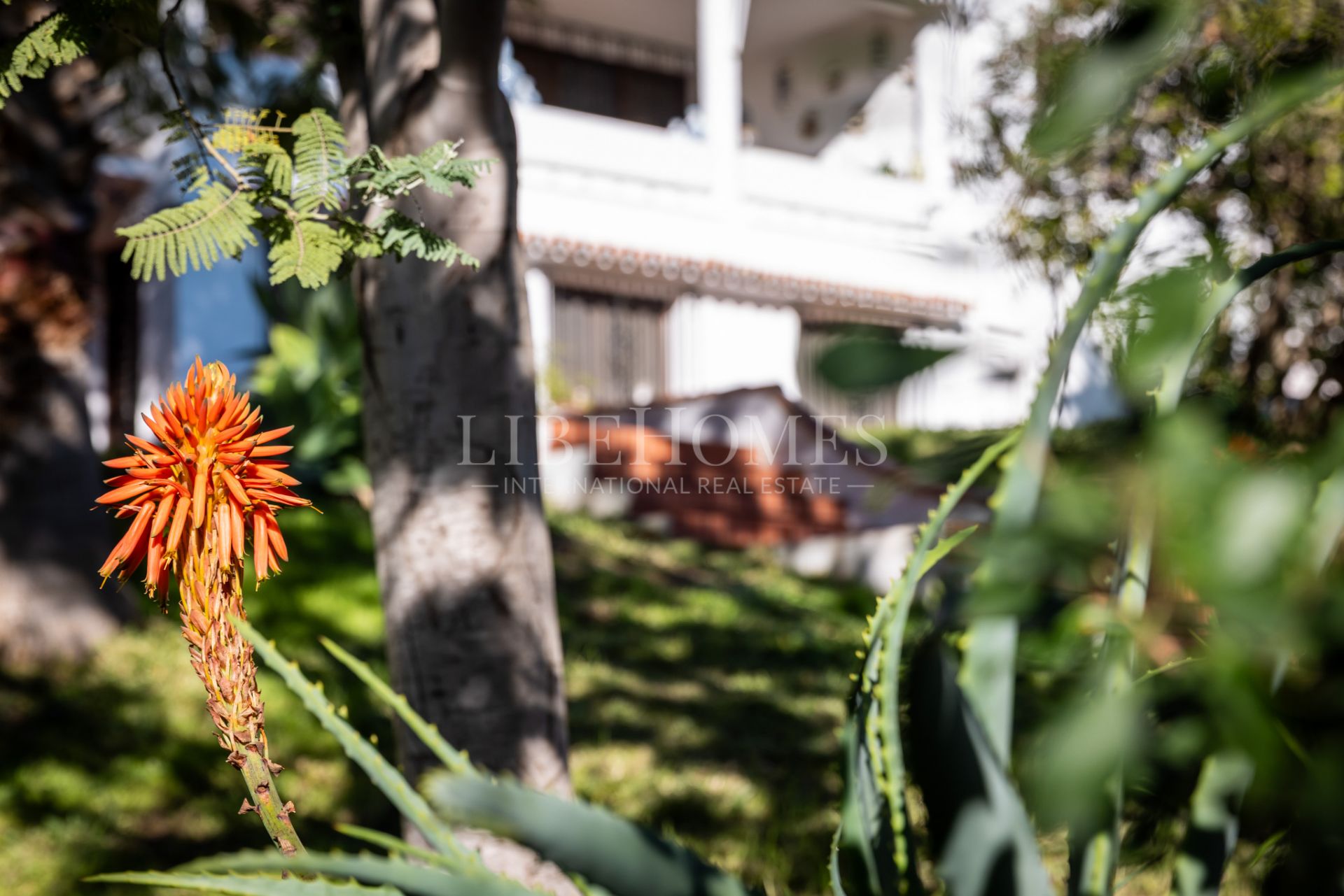 Beautiful Andalusian villa with a unique character in Marbella East