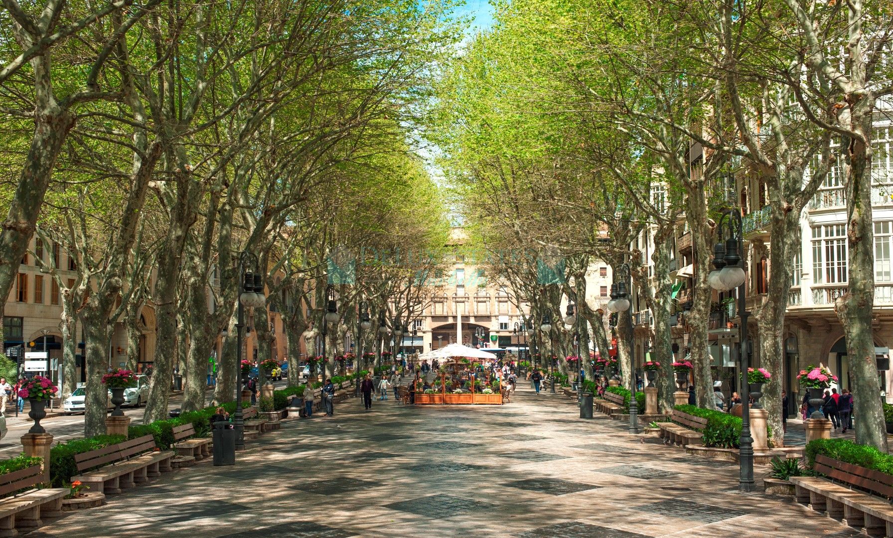 Property development Cor 39, Palma de Mallorca