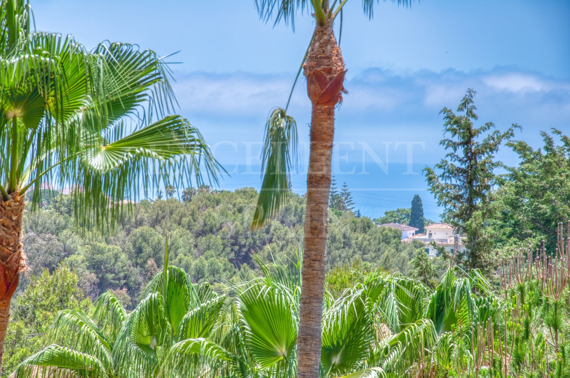 Erdgeschosswohnung in Condado de Sierra Blanca, Marbella Goldene Meile