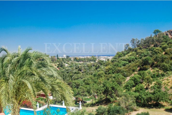 Apartment in Puerto del Almendro, Benahavis