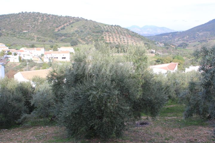 Casa en Algodonales