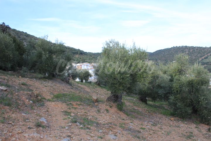 Casa en Algodonales