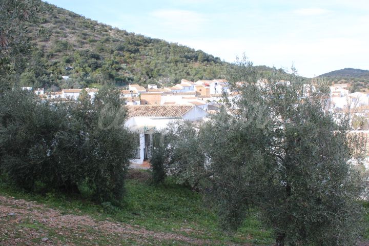 Casa en Algodonales