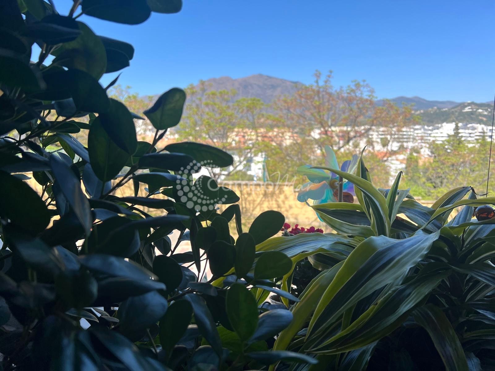 Apartment in Estepona Town, Estepona