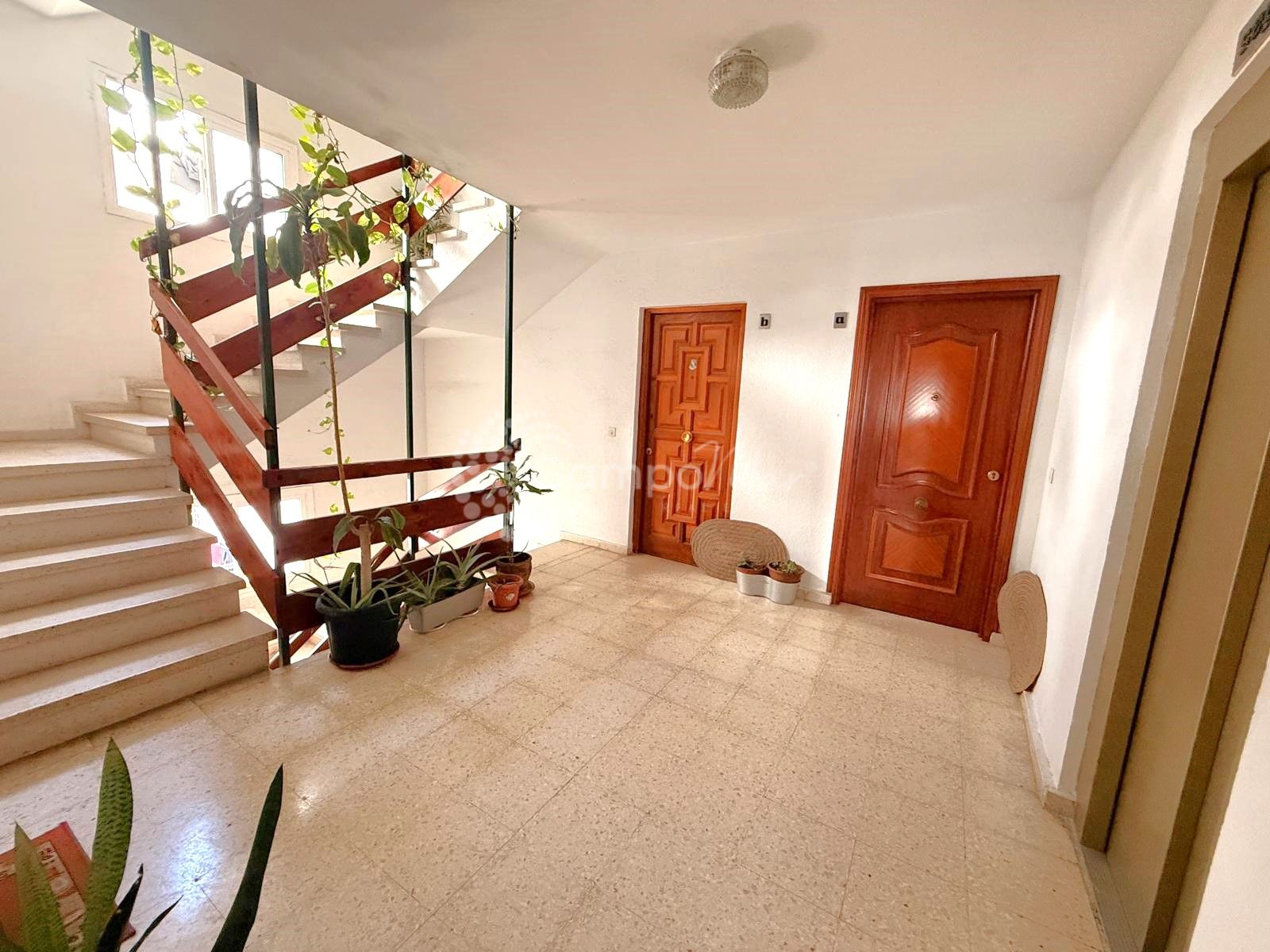 Apartment in Estepona