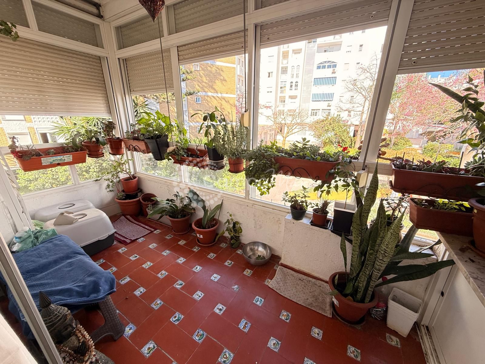 Apartment in Estepona